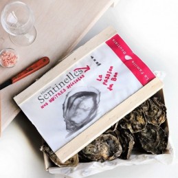 huitre-speciale-sentinelle-huitre-creuse