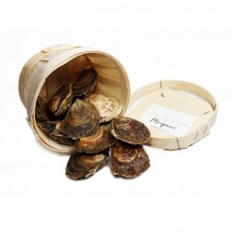 huitre-plate-cancale-huitre-plate
